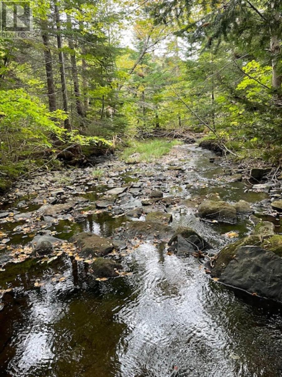 Ainslie Glen Road, Ainslie Glen, Nova Scotia  B0E 1M0 - Photo 7 - 202423480