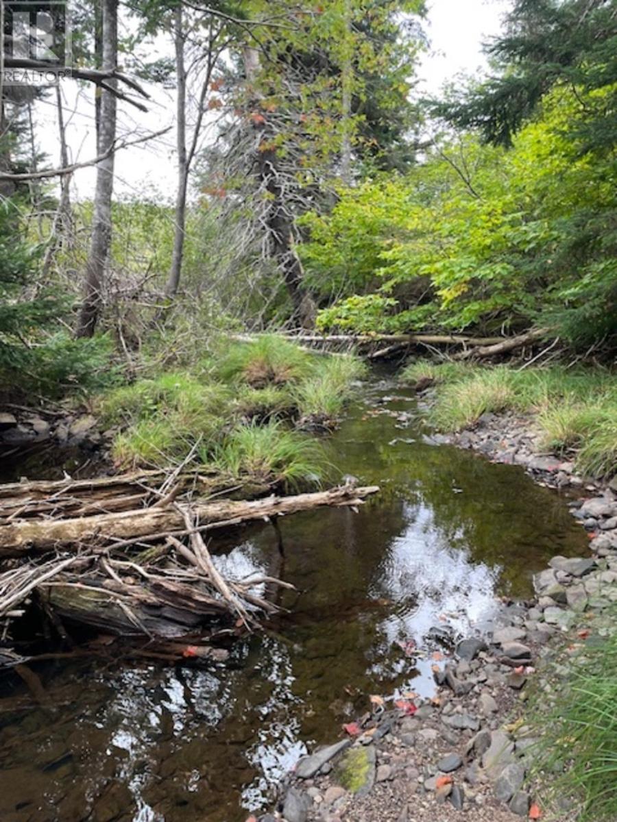 Ainslie Glen Road, Ainslie Glen, Nova Scotia  B0E 1M0 - Photo 9 - 202423480