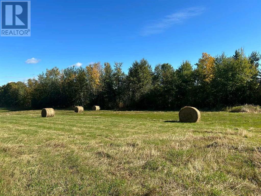 592043 Range Road 104 Lonira, Rural Woodlands County, Alberta  T7S 1N9 - Photo 25 - A2144783