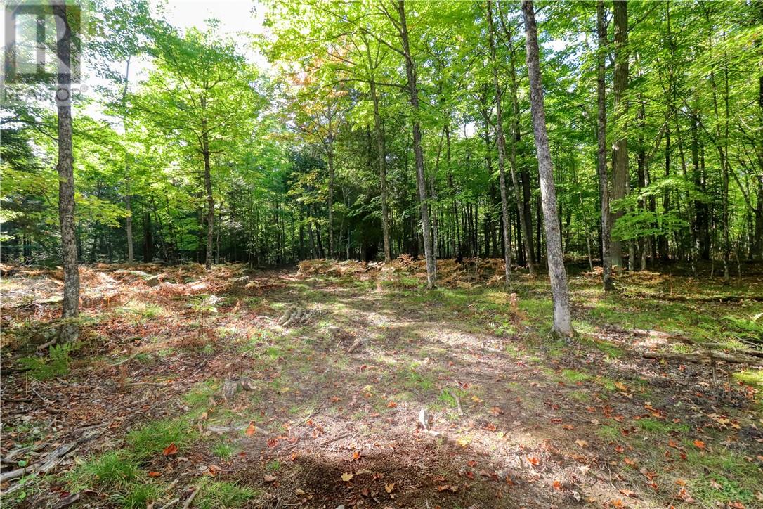 98 Steven Street, Gore Bay, Ontario  P0P 1H0 - Photo 14 - 2119238