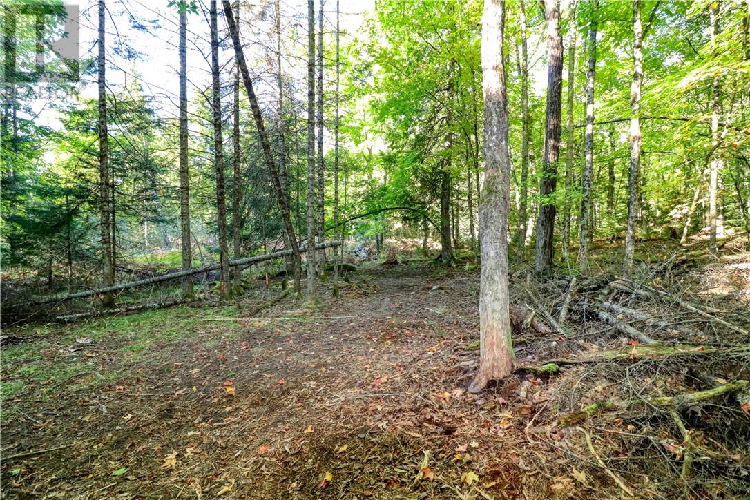 98 Steven Street, Gore Bay, Ontario  P0P 1H0 - Photo 17 - 2119238