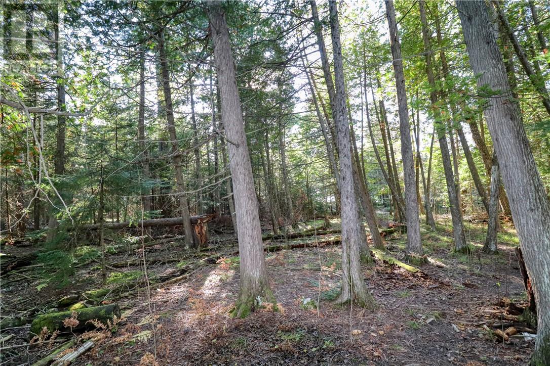 98 Steven Street, Gore Bay, Ontario  P0P 1H0 - Photo 20 - 2119238