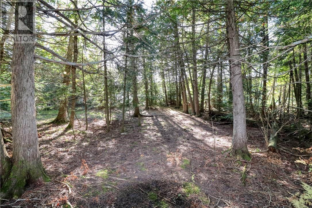 98 Steven Street, Gore Bay, Ontario  P0P 1H0 - Photo 26 - 2119238