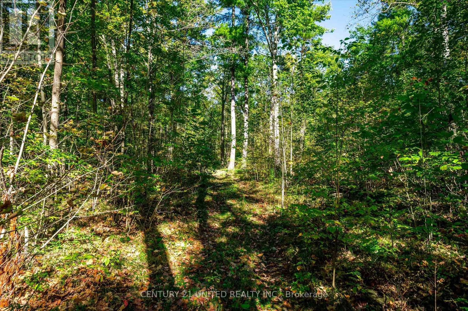 00 Rockhaven Road, Marmora And Lake, Ontario  K0K 2M0 - Photo 20 - X9373973