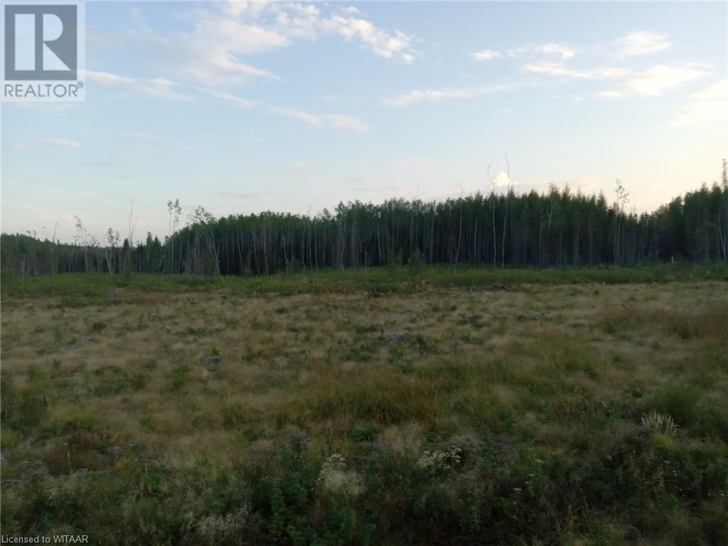 N/a N/a Road, Timiskami, Ontario P0J 1H0 - Photo 3 - 40652295