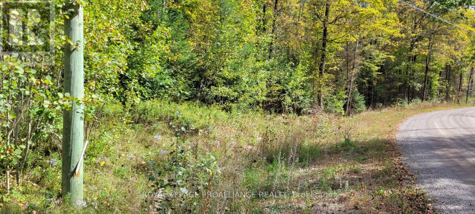 0 Shanick Road, Marmora And Lake, Ontario  K0K 2M0 - Photo 5 - X9374121