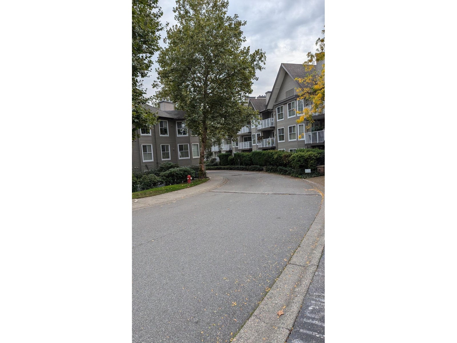 205 15140 108 Avenue, Surrey, British Columbia  V3R 0T9 - Photo 2 - R2928815