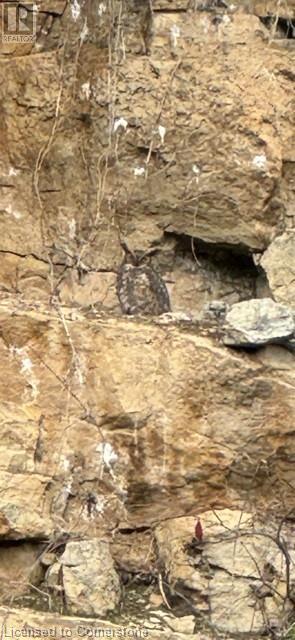 4028 Millar Crescent, Burlington, Ontario  L7P 0R5 - Photo 39 - 40655246