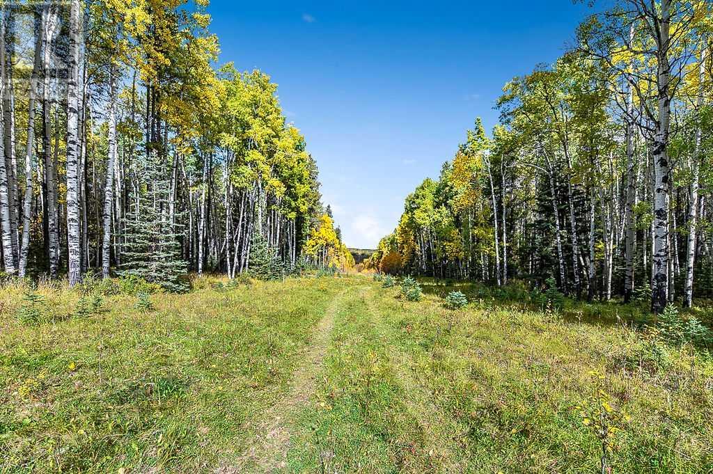 336 Street, Rural Foothills County, Alberta  T0L 1W0 - Photo 10 - A2169407