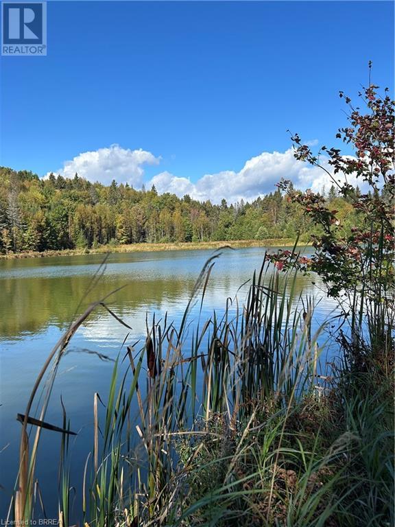 279 Trout Pond Road, Rutherglen, Ontario P0H 2E0 - Photo 3 - 40654471