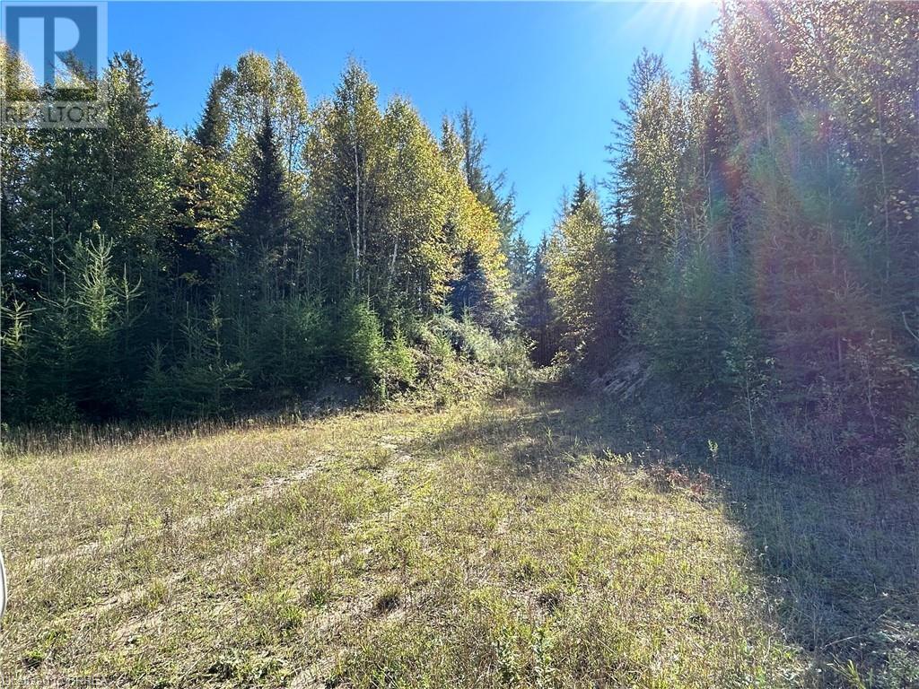 279 Trout Pond Road, Rutherglen, Ontario P0H 2E0 - Photo 4 - 40654471