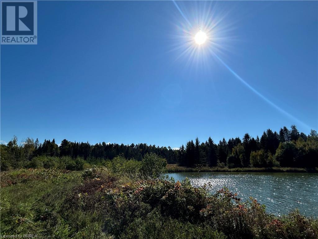 279 Trout Pond Road, Rutherglen, Ontario P0H 2E0 - Photo 6 - 40654471
