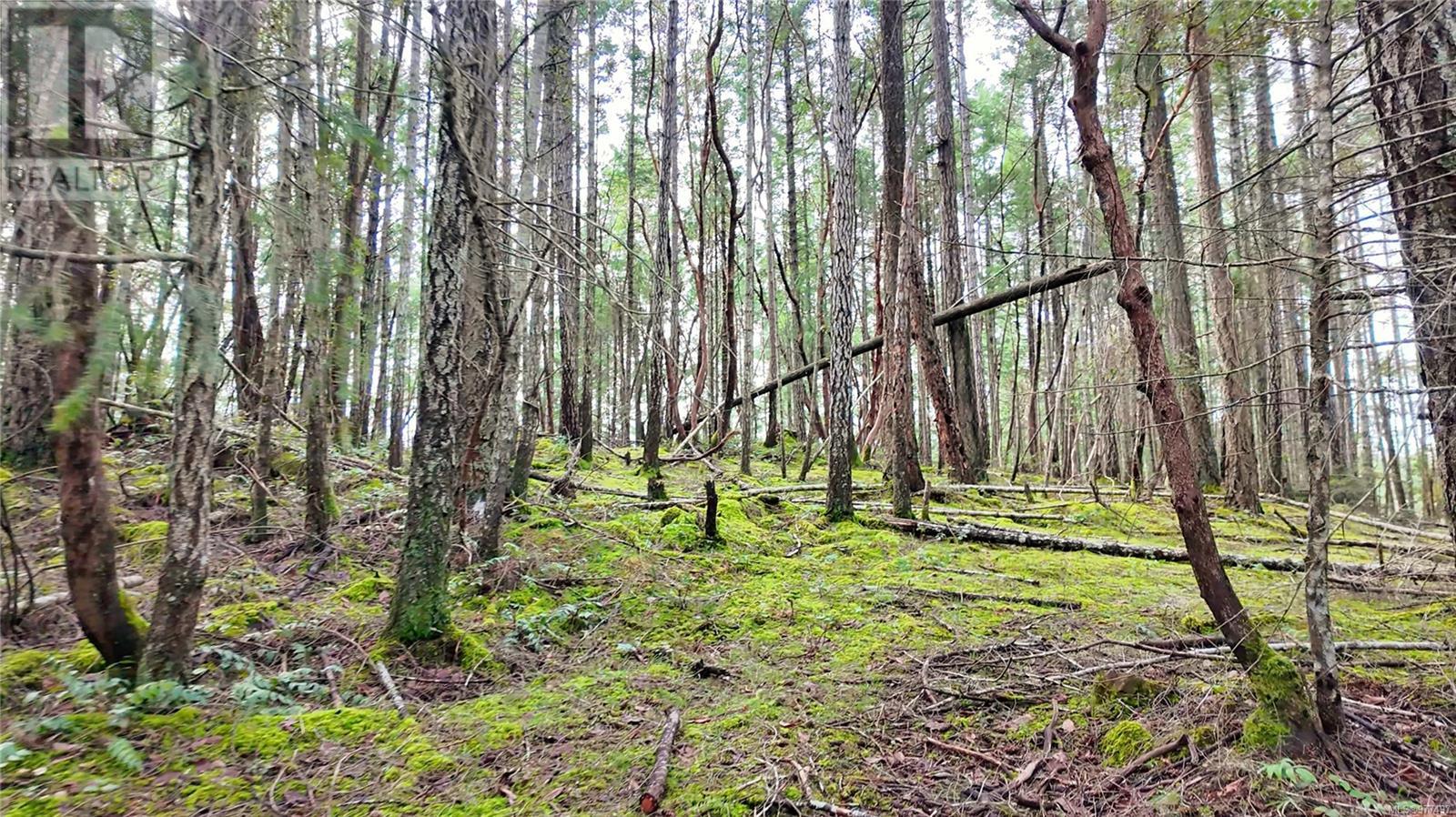 Lt 15 Coats Dr, Gabriola Island, British Columbia  V0R 1X4 - Photo 6 - 977497