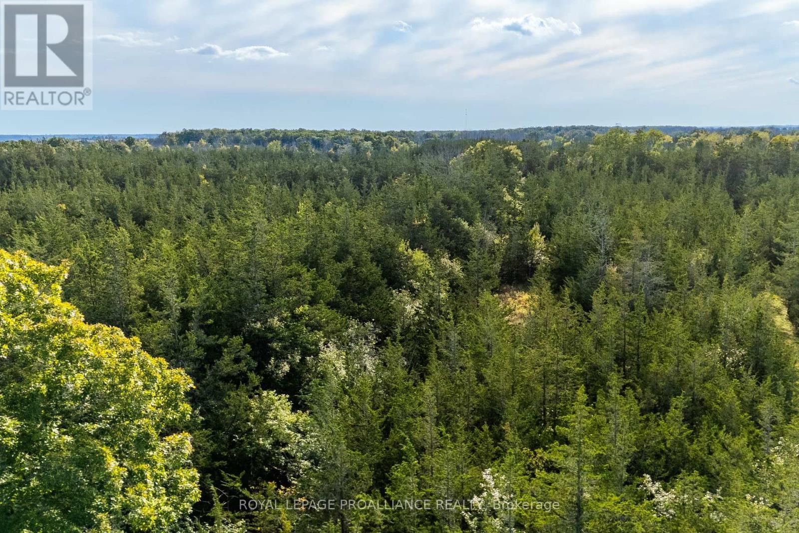 Lot 45 Sprague Road, Prince Edward County (Sophiasburg Ward), Ontario  K0K 1W0 - Photo 11 - X6685510