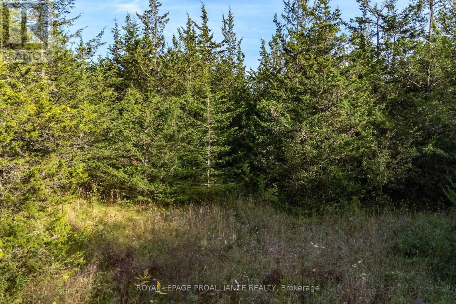 Lot 45 Sprague Road, Prince Edward County (Sophiasburg Ward), Ontario  K0K 1W0 - Photo 12 - X6685510