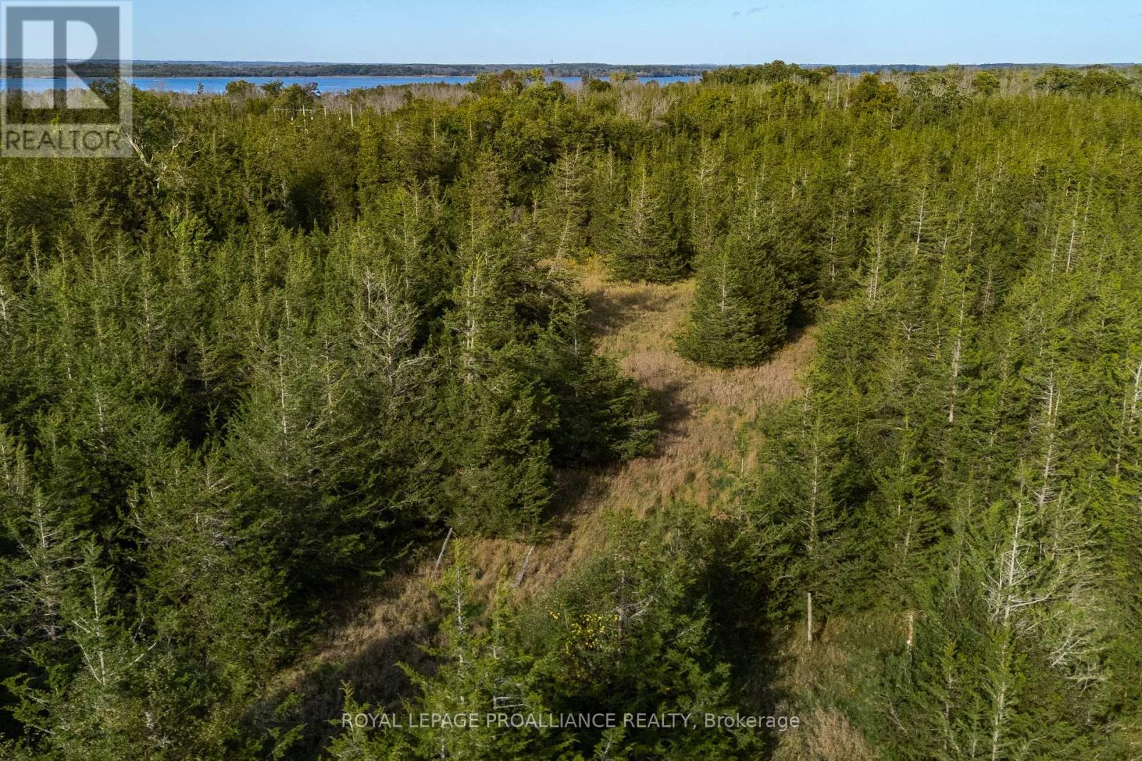Lot 45 Sprague Road, Prince Edward County (Sophiasburg Ward), Ontario  K0K 1W0 - Photo 13 - X6685510