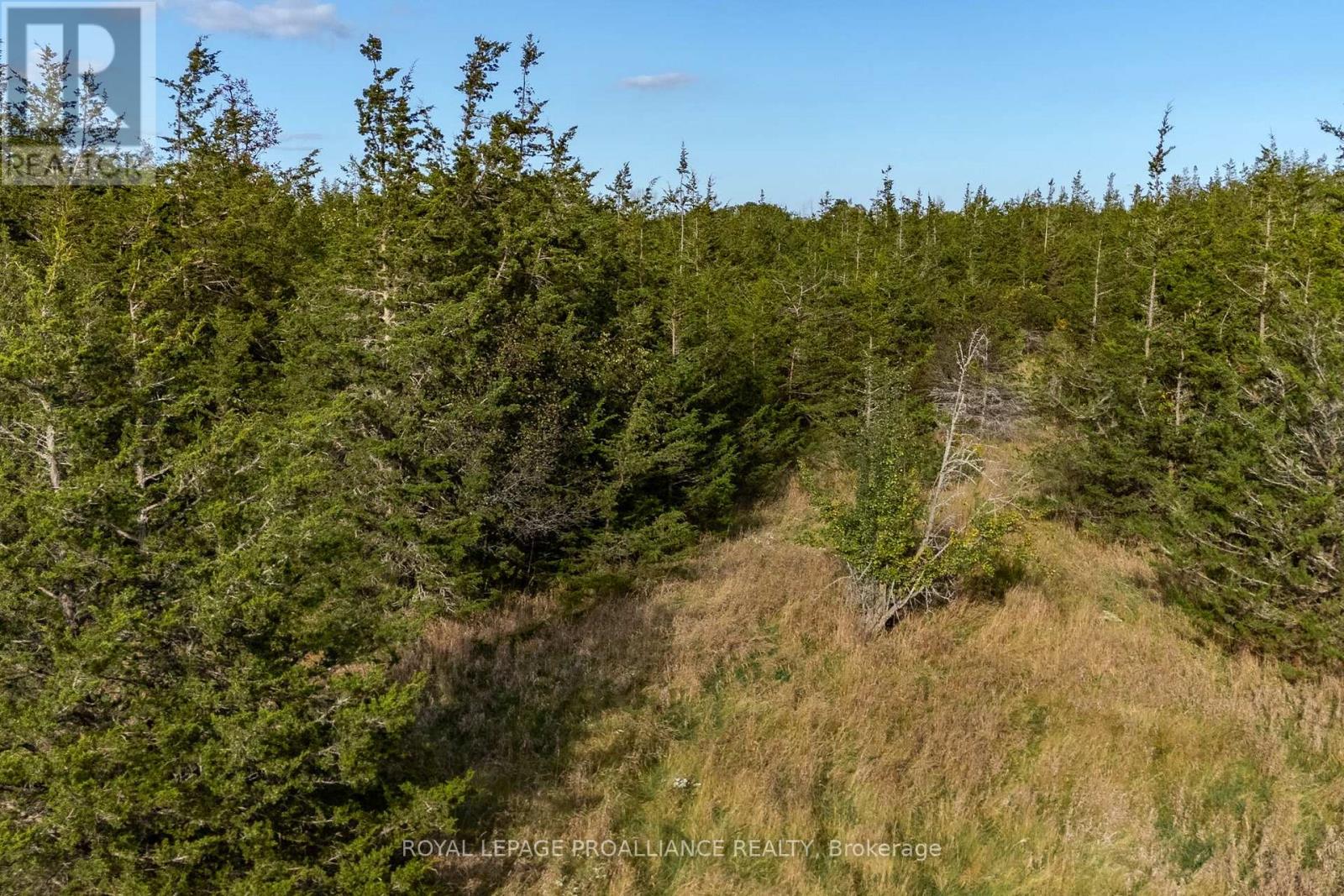 Lot 45 Sprague Road, Prince Edward County (Sophiasburg Ward), Ontario  K0K 1W0 - Photo 14 - X6685510