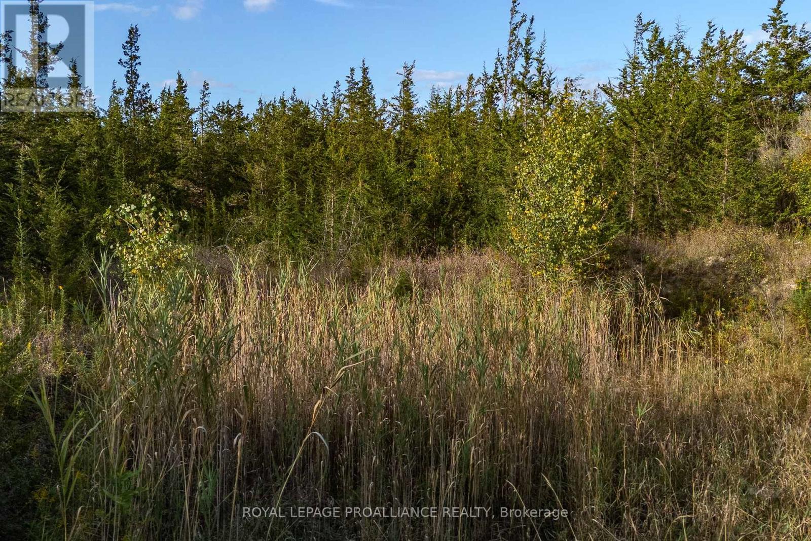 Lot 45 Sprague Road, Prince Edward County (Sophiasburg Ward), Ontario  K0K 1W0 - Photo 15 - X6685510