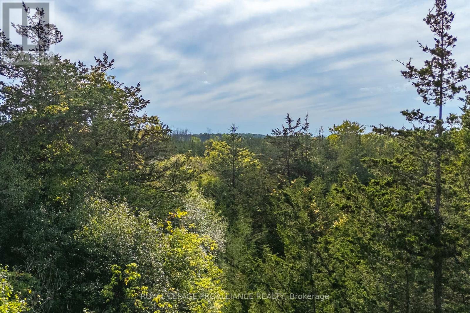 Lot 45 Sprague Road, Prince Edward County (Sophiasburg Ward), Ontario  K0K 1W0 - Photo 17 - X6685510