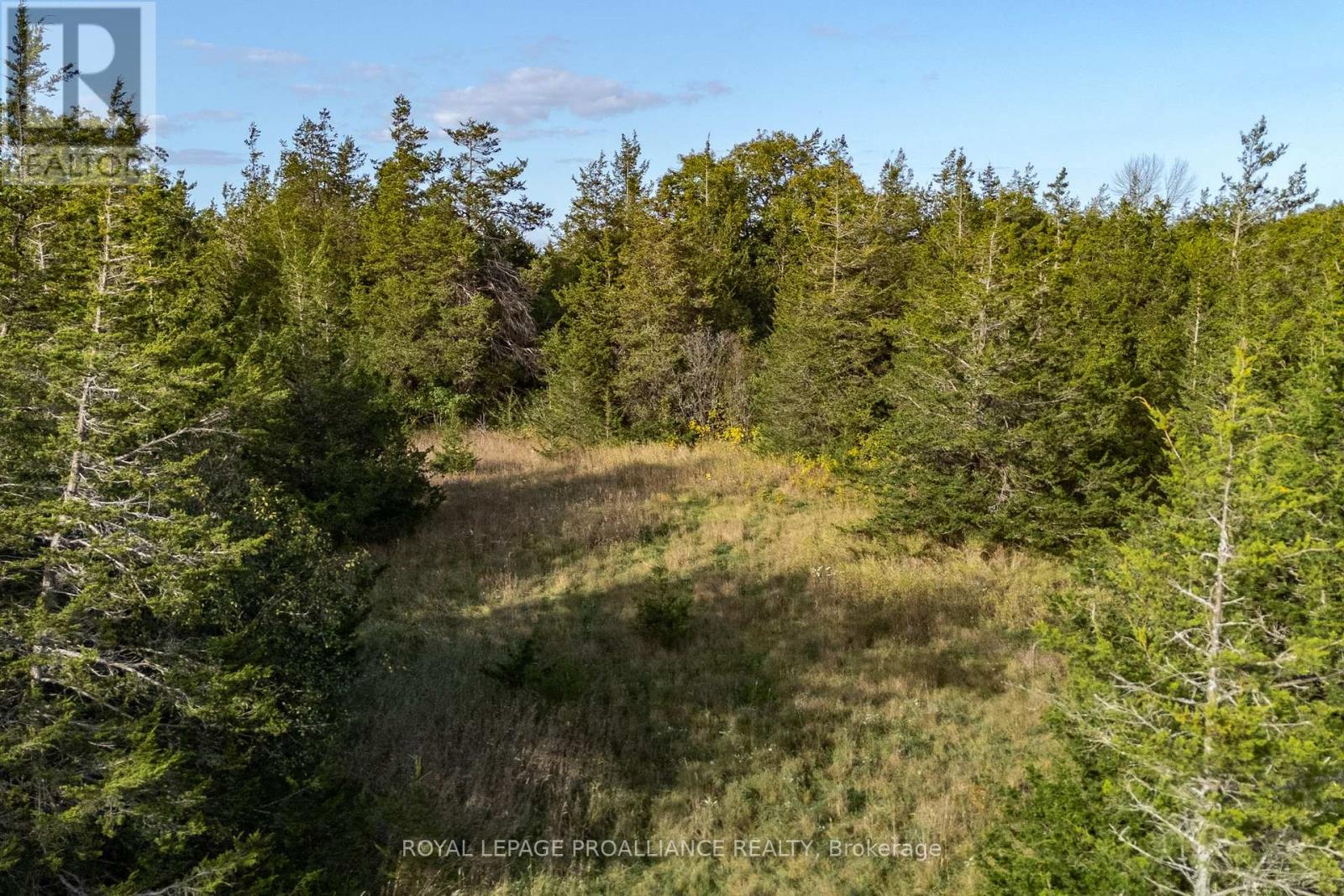 Lot 45 Sprague Road, Prince Edward County (Sophiasburg Ward), Ontario  K0K 1W0 - Photo 18 - X6685510