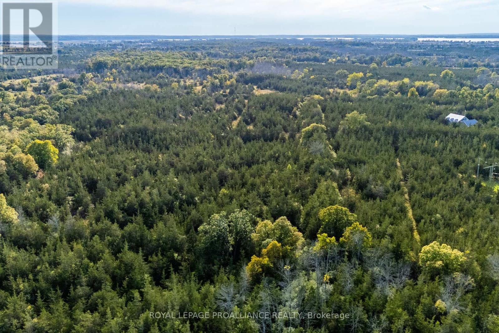 Lot 45 Sprague Road, Prince Edward County (Sophiasburg Ward), Ontario  K0K 1W0 - Photo 9 - X6685510