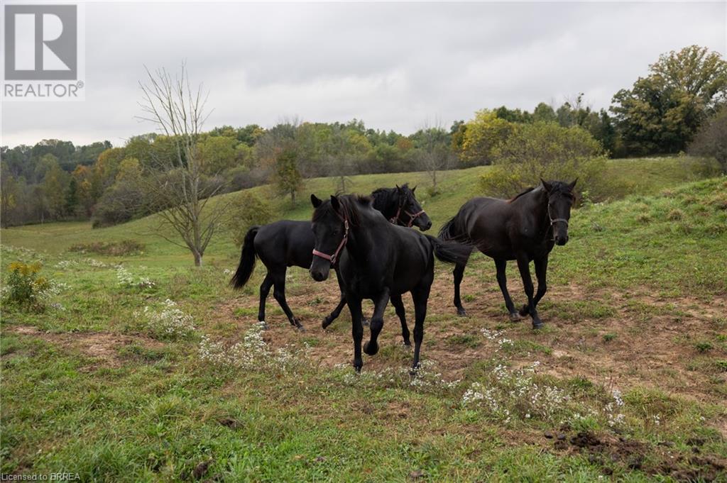 2606 Harrisburg Road, Lynden, Ontario  L0R 1T0 - Photo 17 - 40655186