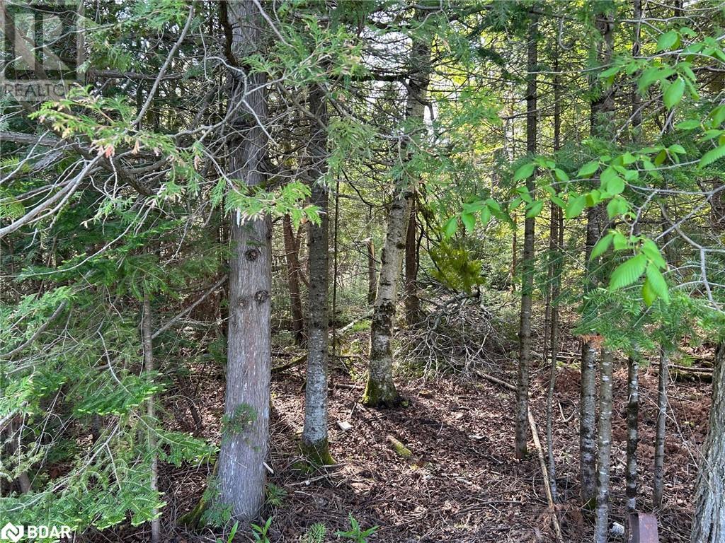 810 4th Line, Douro-Dummer, Ontario  K0L 3E0 - Photo 11 - 40645627