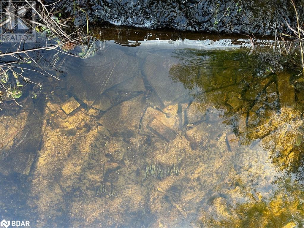 810 4th Line, Douro-Dummer, Ontario  K0L 3E0 - Photo 10 - 40645627