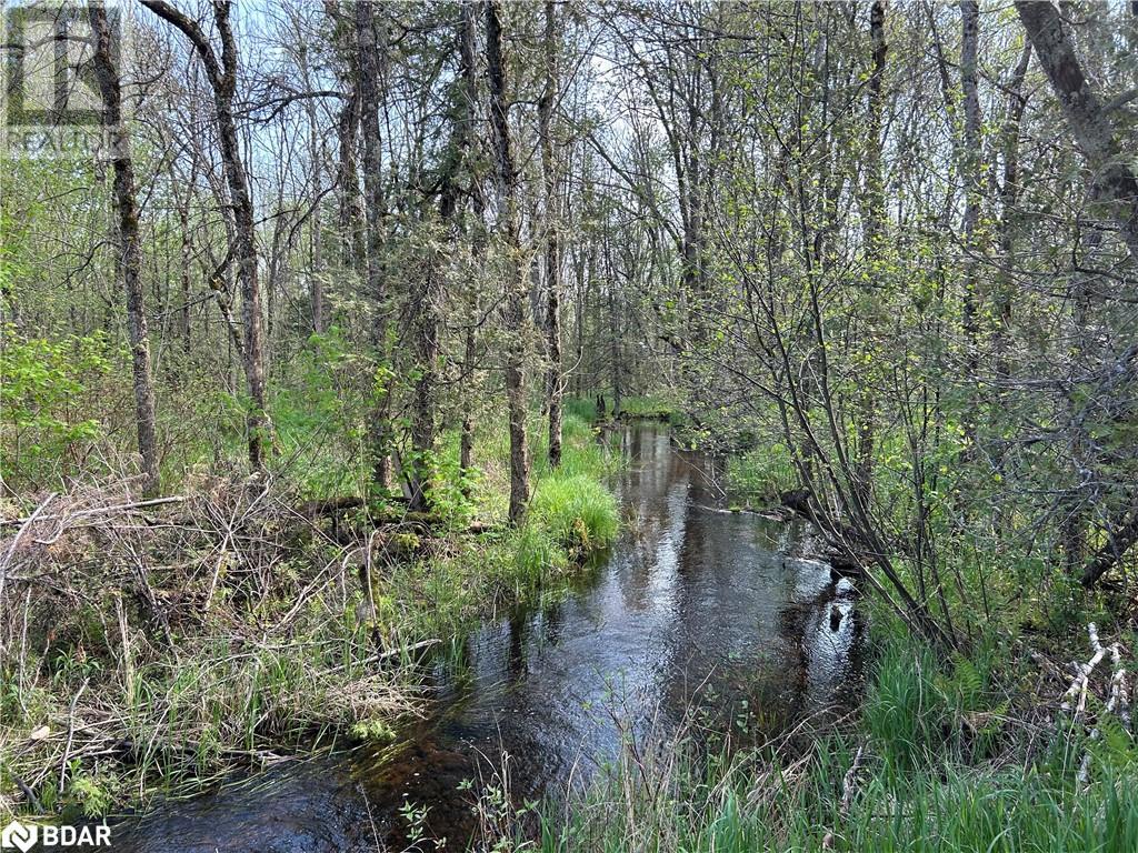 810 4th Line, Douro-Dummer, Ontario  K0L 3E0 - Photo 7 - 40645627
