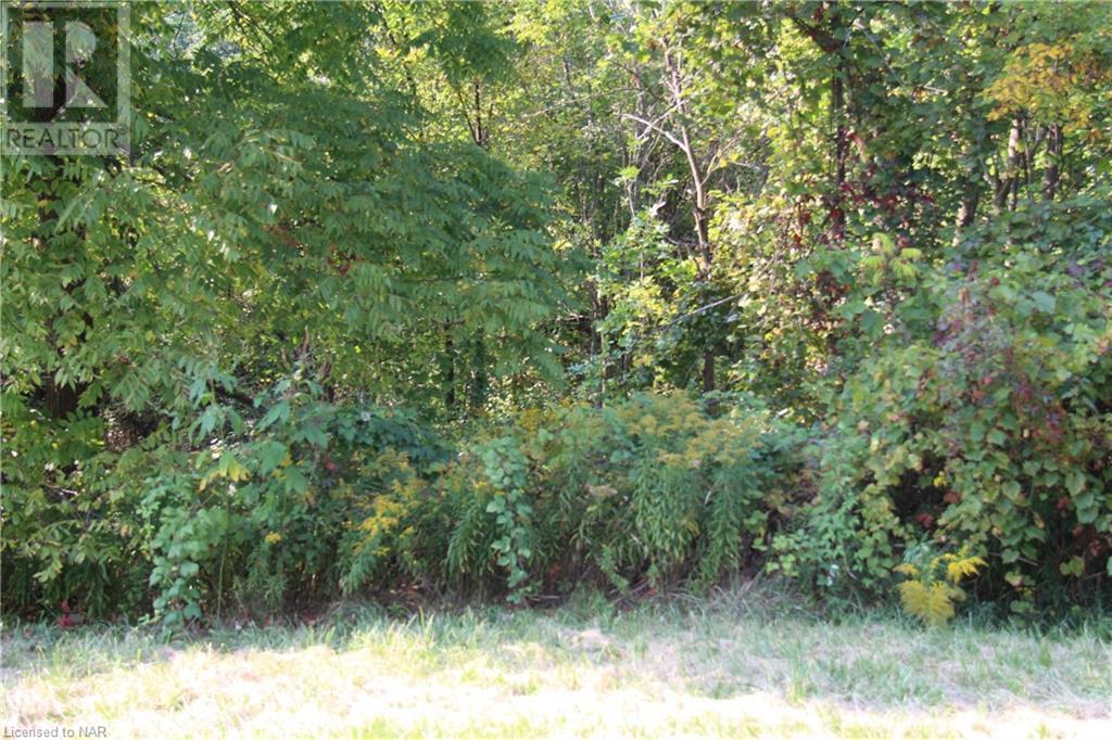 41744 Mill Race Road, Wainfleet, Ontario  L0S 1V0 - Photo 1 - 40649661