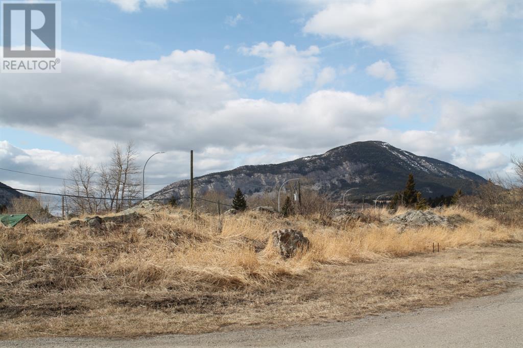 21405 27 Avenue, Crowsnest Pass, Alberta  T0K 0C0 - Photo 7 - A2169914