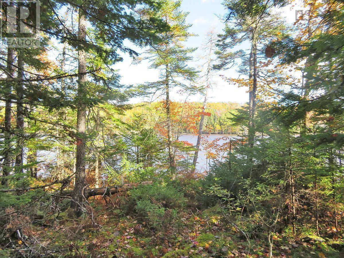 Lot 2 Lower River Road, Hureauville, Nova Scotia  B0E 1J0 - Photo 9 - 202423664