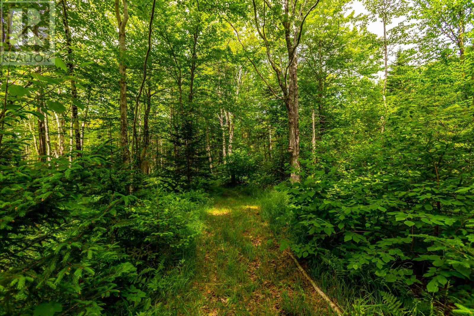 580 Rumsey Lake Road, Arlington West, Nova Scotia  B0S 1L0 - Photo 34 - 202405091