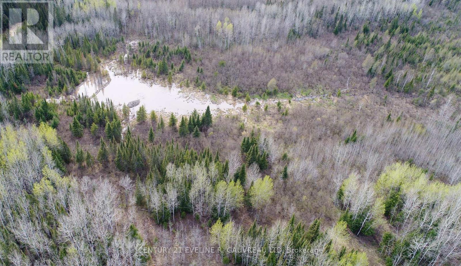 N1/2 Lt 9 Con 1, Timiskaming Remote Area, Ontario  P0J 1H0 - Photo 23 - T9377251