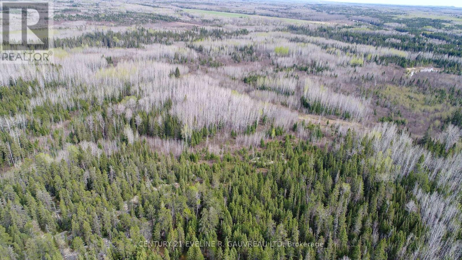 N1/2 Lt 9 Con 1, Timiskaming Remote Area, Ontario  P0J 1H0 - Photo 8 - T9377251