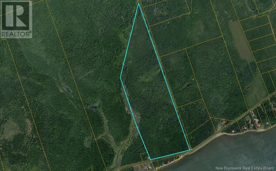 Lot Route 960, Cape Spear, New Brunswick  E4M 2S1 - Photo 1 - NB106895