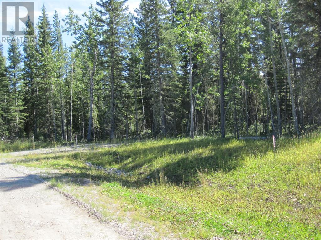 52 Boundary Close, Rural Clearwater County, Alberta  T0M 0M0 - Photo 20 - A2106917