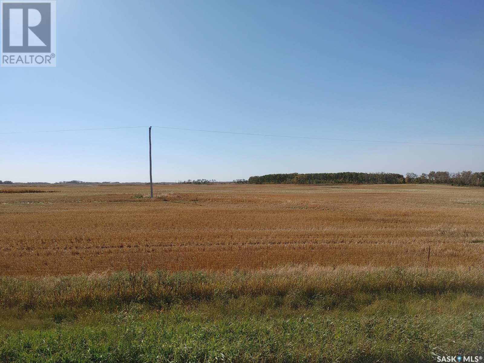 Grain Land - Rm Of Wallace #243, Wallace Rm No. 243, Saskatchewan  S0A 3R0 - Photo 1 - SK985041