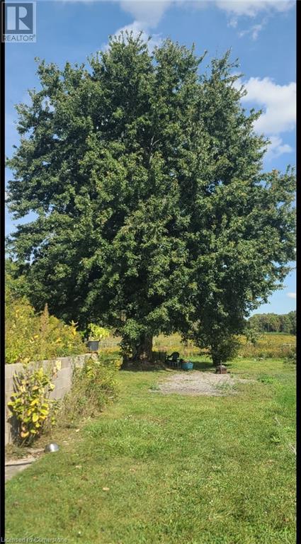 940 Hutchinson Rd Road, Lowbanks, Ontario  N0A 1K0 - Photo 40 - 40654569