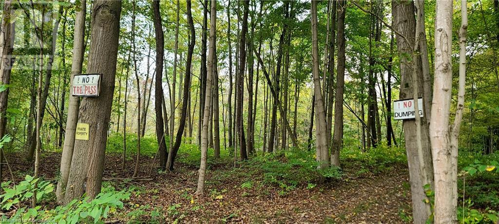 940 Hutchinson Rd Road, Lowbanks, Ontario  N0A 1K0 - Photo 43 - 40654569