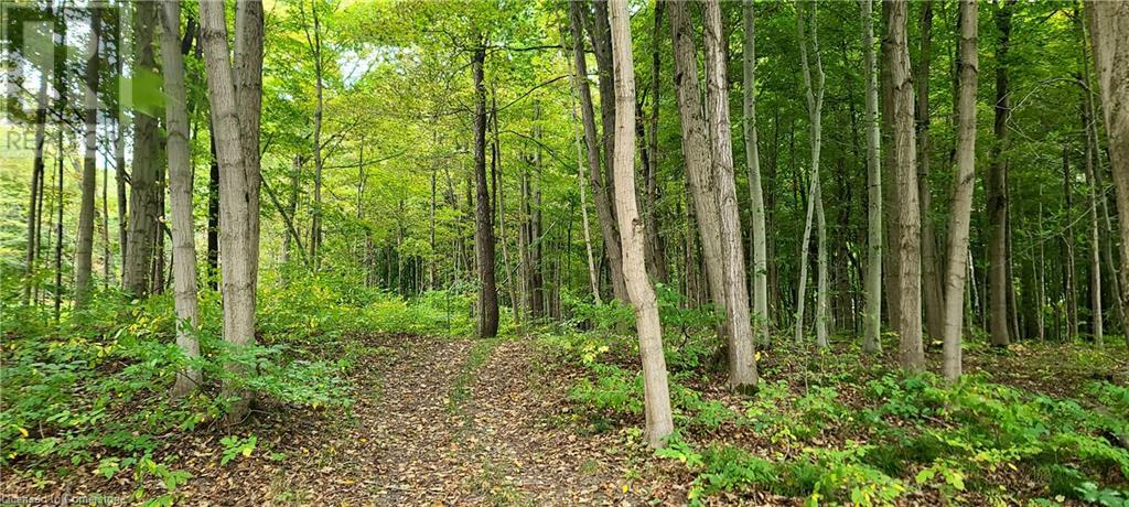 940 Hutchinson Rd Road, Lowbanks, Ontario  N0A 1K0 - Photo 42 - 40654569