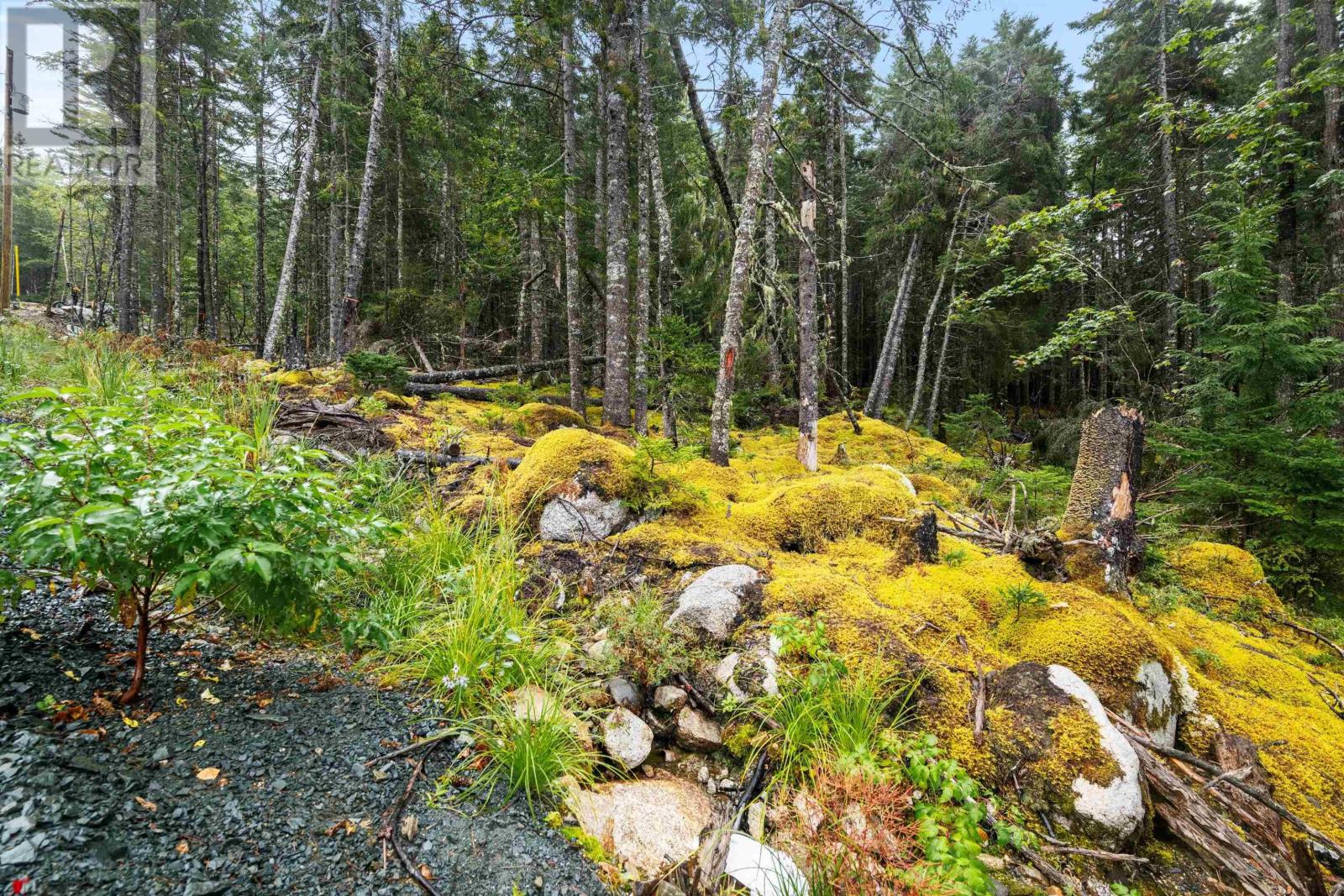 12395 Peggys Cove Road, Glen Haven, Nova Scotia  B3Z 2R7 - Photo 35 - 202423710