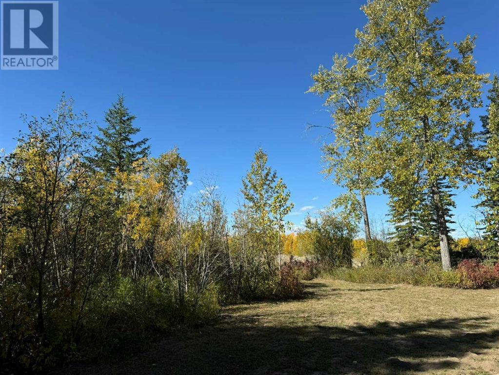 45, 4136 Highway 587, Rural Red Deer County, Alberta  T0M 1C0 - Photo 4 - A2169682