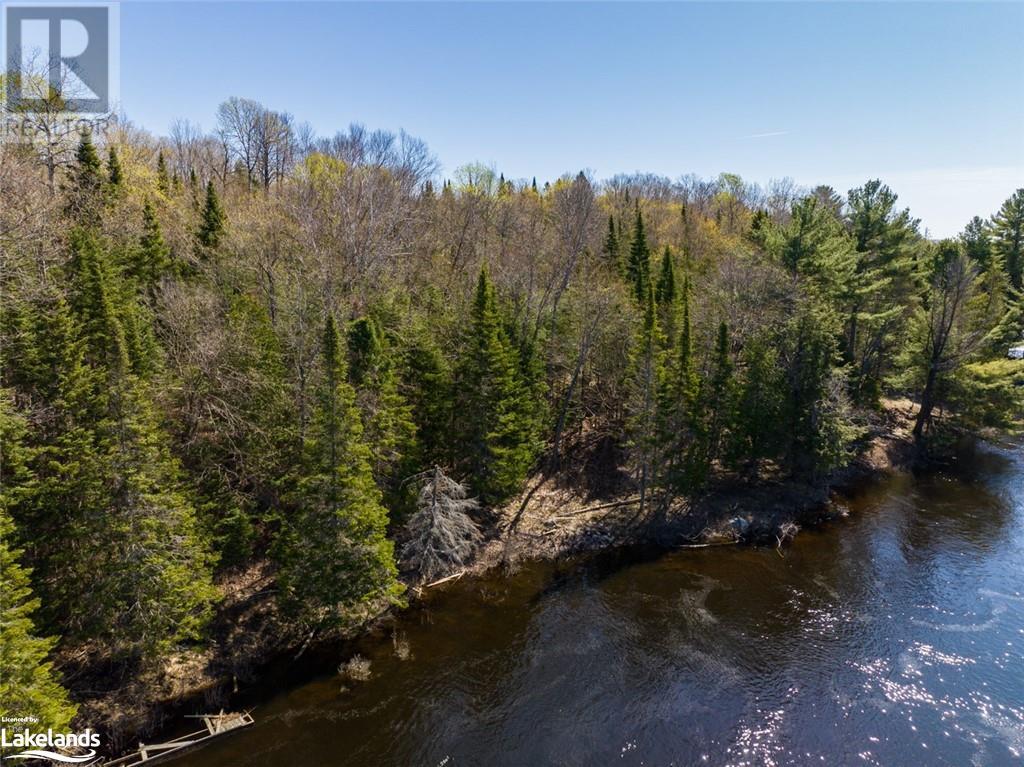 36 Magnet Road, Magnetawan, Ontario  P0A 1P0 - Photo 16 - 40579473