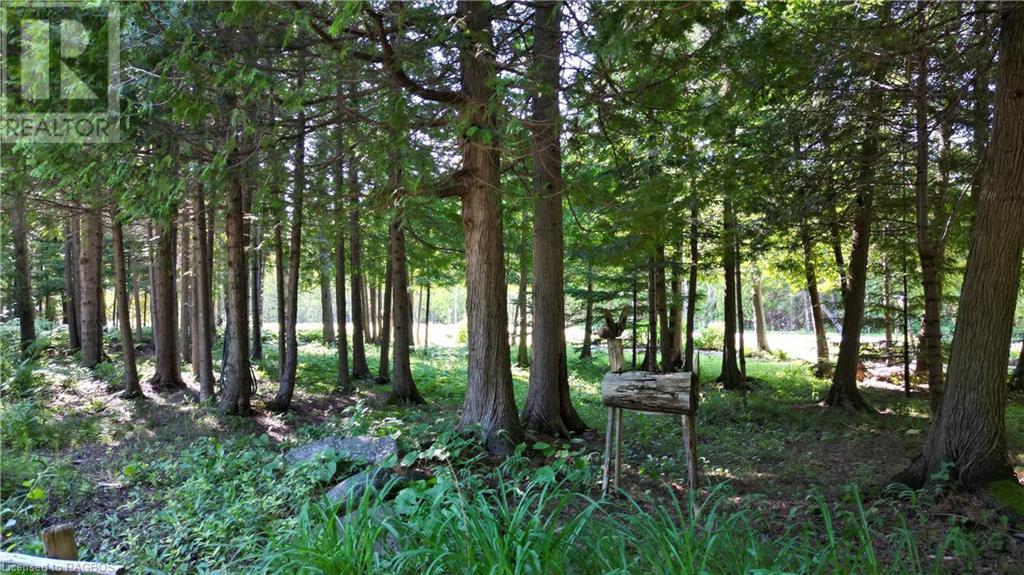 33 Whiskey Harbour Road, Northern Bruce Peninsula, Ontario N0H 1X0 - Photo 30 - 40610187