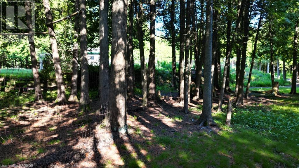 33 Whiskey Harbour Road, Northern Bruce Peninsula, Ontario N0H 1X0 - Photo 32 - 40610187