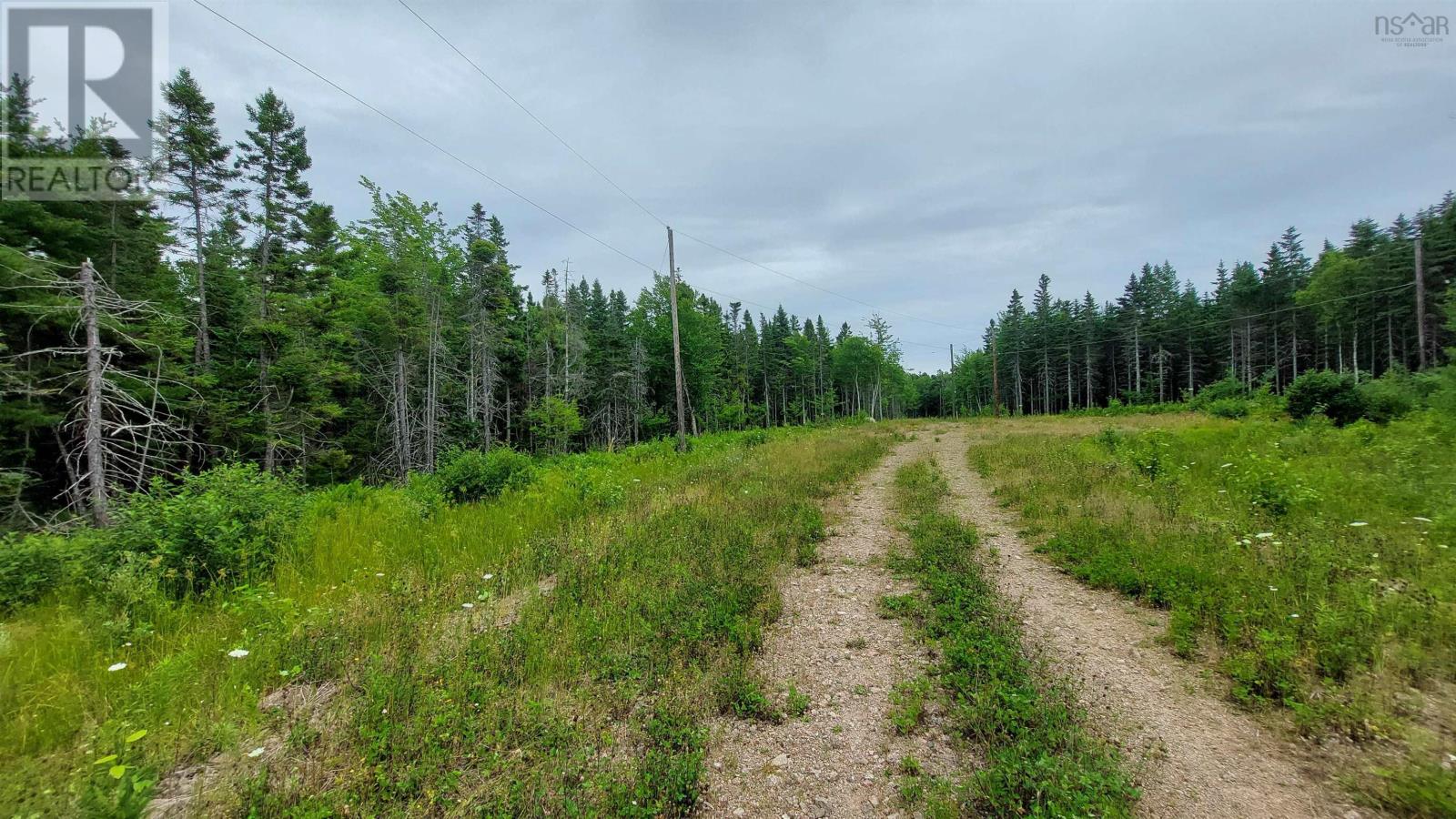 Lot 1g Marble Mountain Rd, Malagawatch, Nova Scotia  B0E 2Y0 - Photo 4 - 202423760