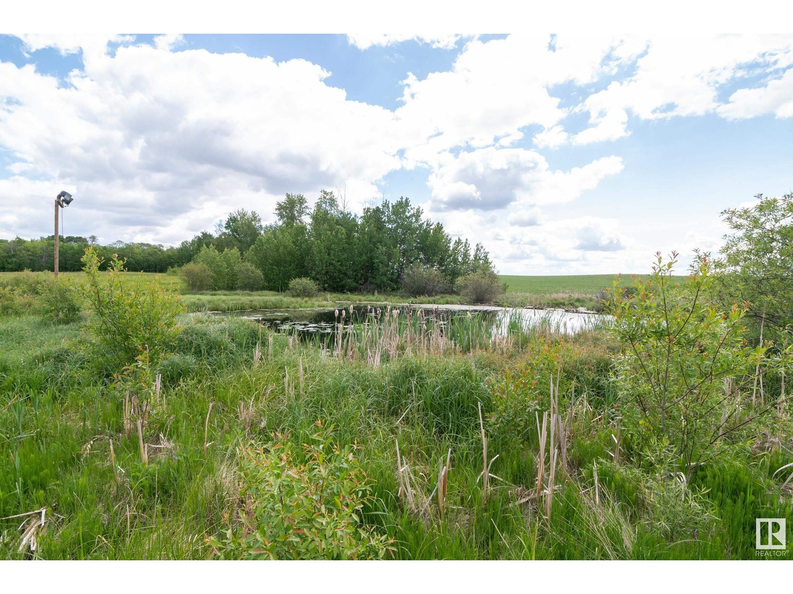 48343 Range Road 222, Rural Camrose County, Alberta  T0B 1W0 - Photo 51 - E4408776