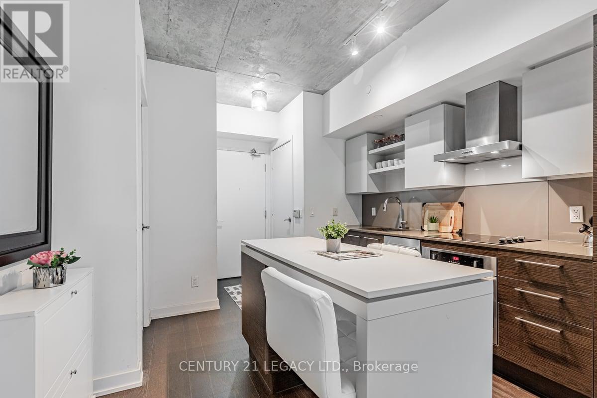 308 - 1030 King Street W, Toronto, Ontario  M6K 0B4 - Photo 4 - C9379352