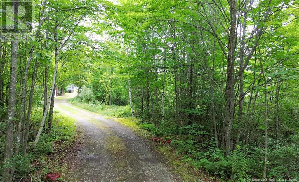 381 Second Eel Lake Lane, Second Eel Lake, New Brunswick  E6H 0A4 - Photo 5 - NB104482